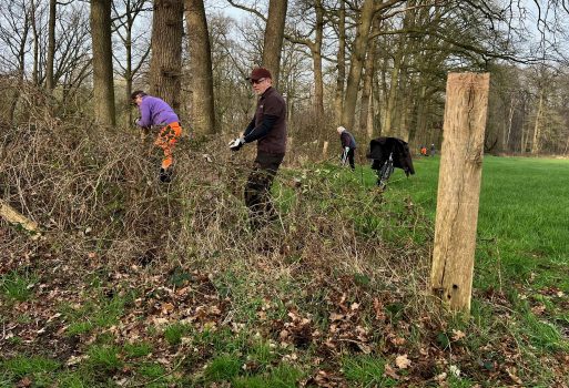 Weghalen omheining langs de Vordenseweg