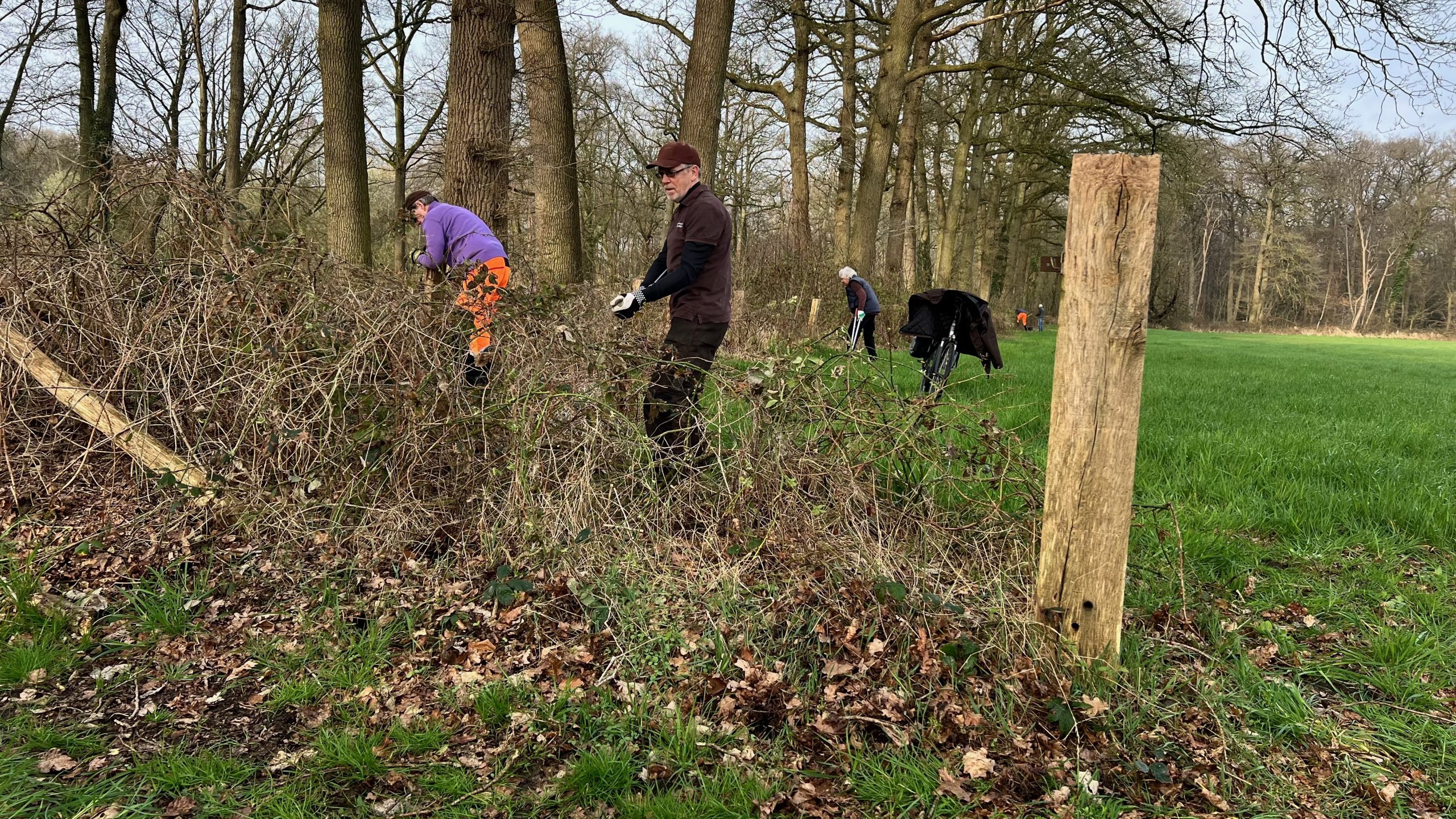 Weghalen omheining langs de Vordenseweg