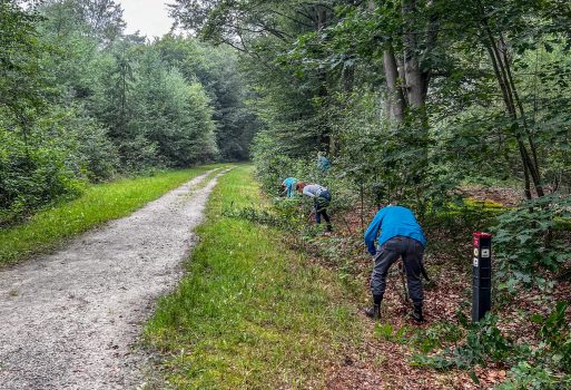 Meerjaren onderhoud wandelpaden