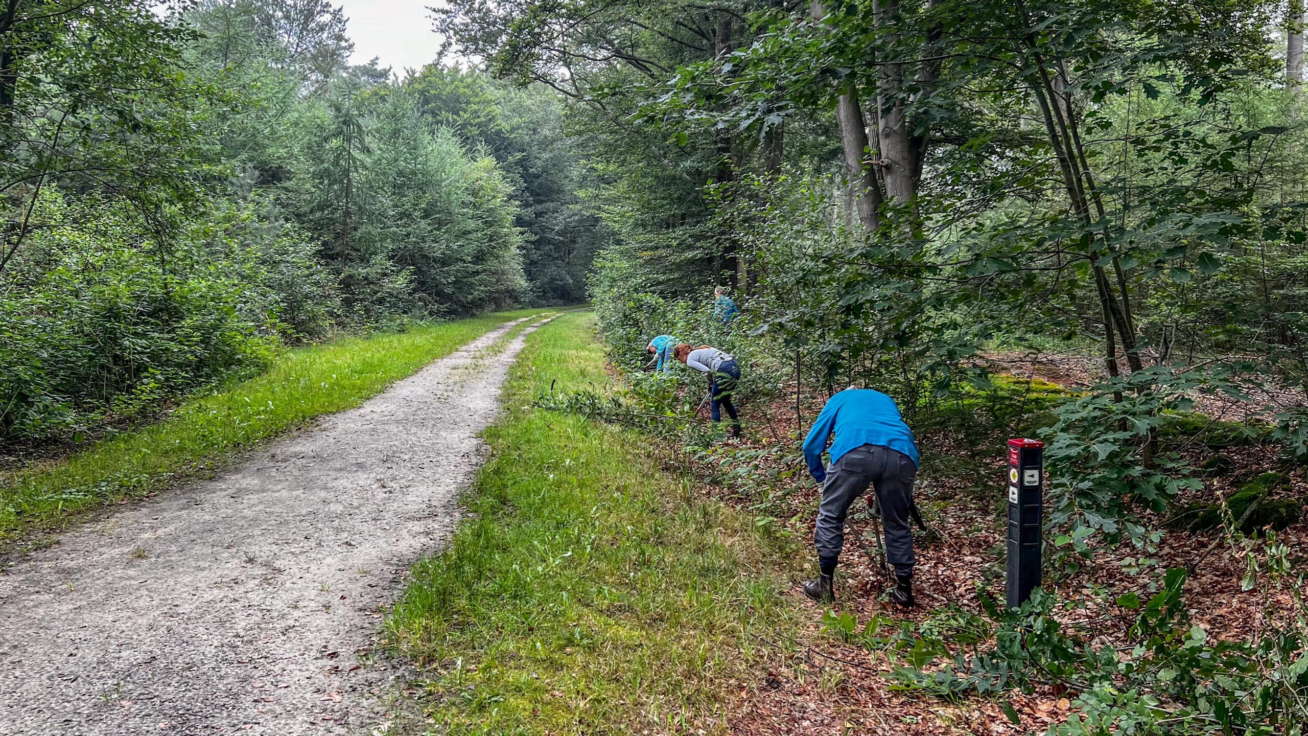 Meerjaren onderhoud wandelpaden