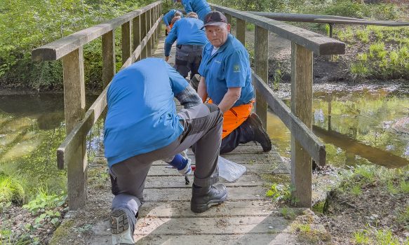 Vervanging gaas op een bruggetje in de Meene