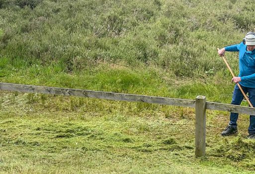 Gras maaien Molenbult