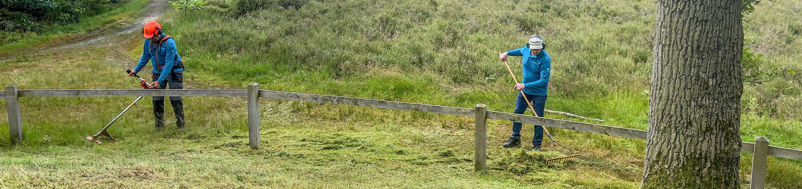 Gras maaien Molenbult