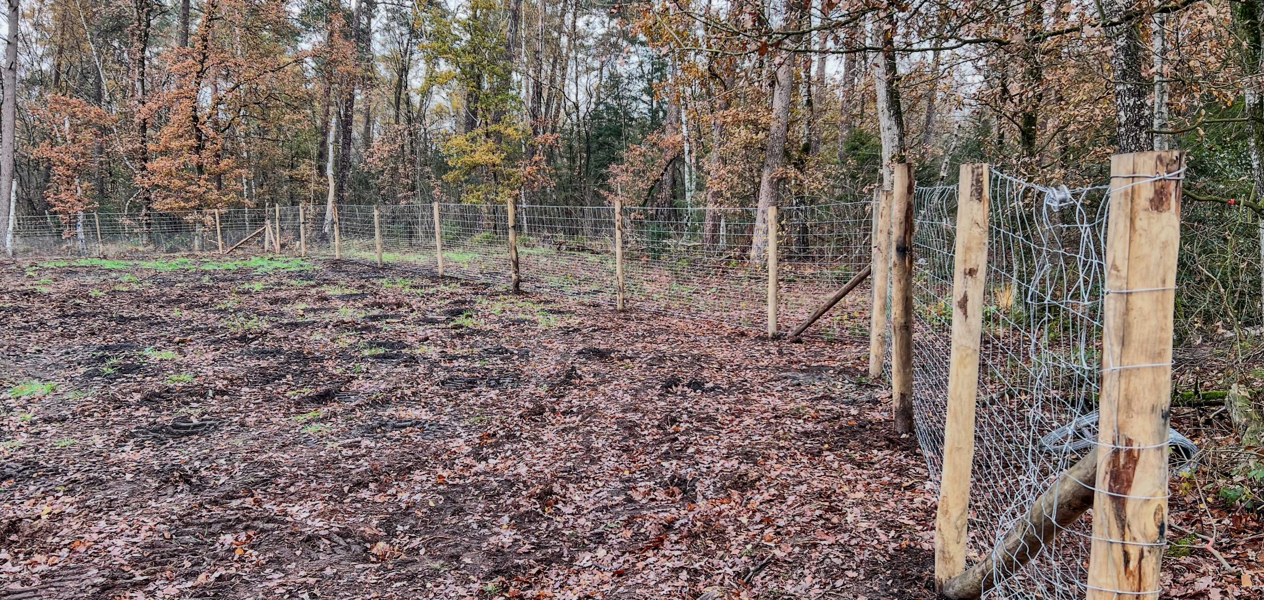 Omheining plaatsen Spijkerdijk