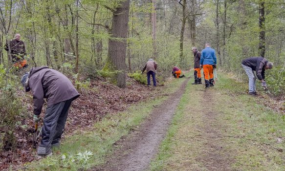 Werkzaamheden langs wandelpaden