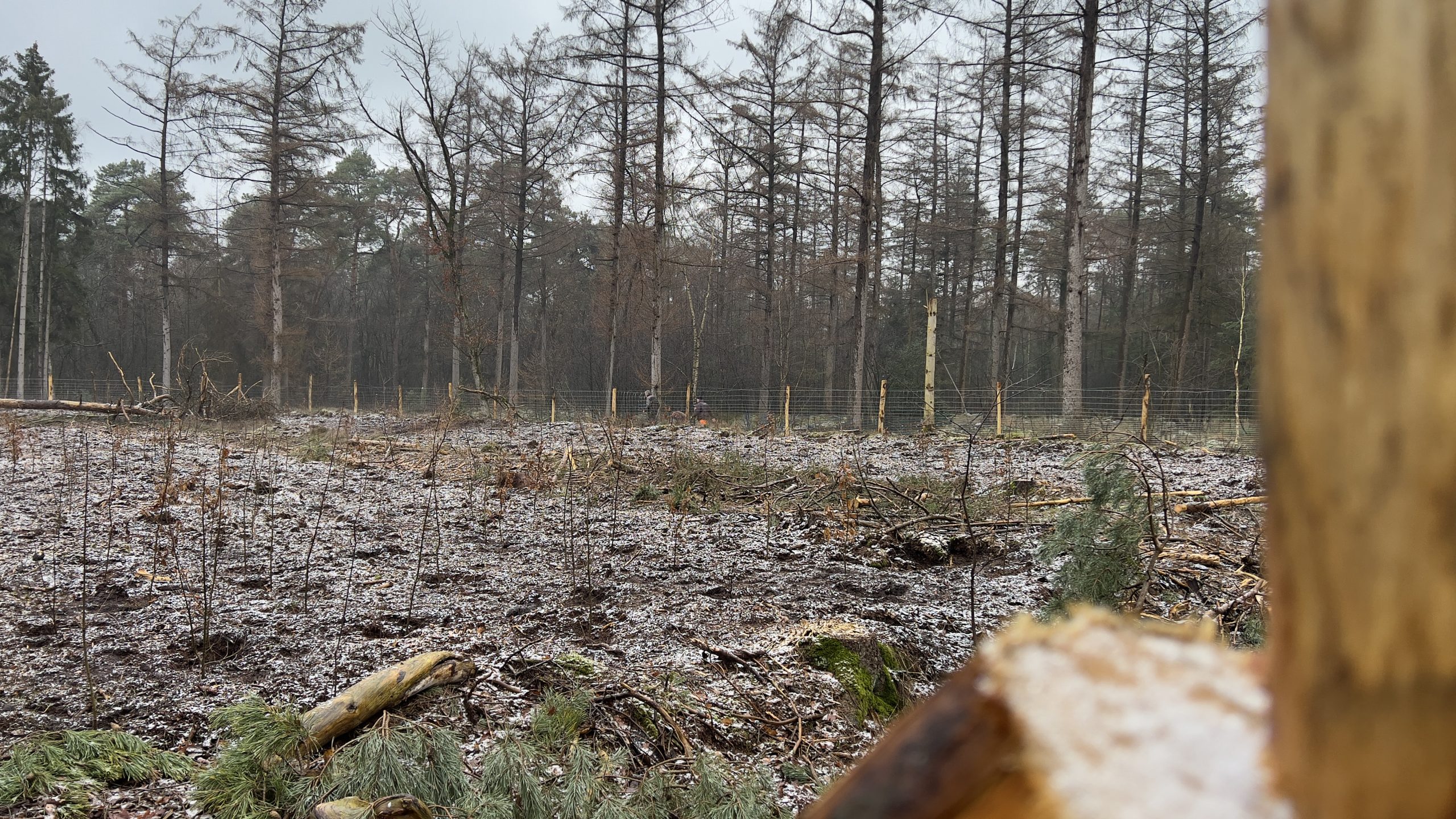 Omheining maken Spijkerdijk