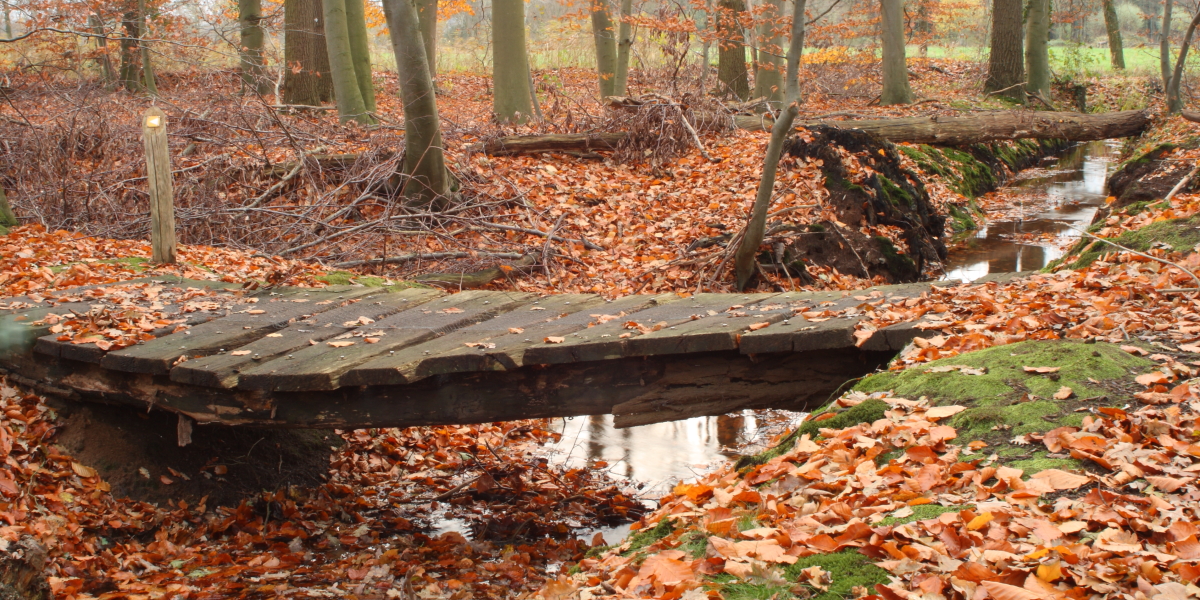 Houterig Bruggetje