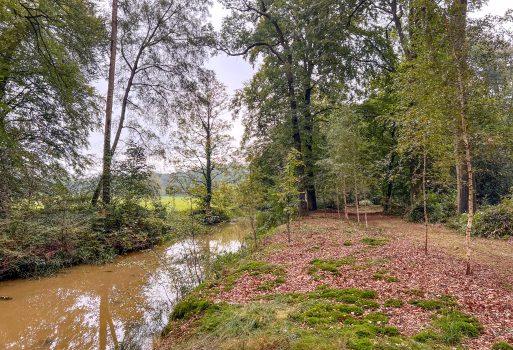 Herstellen zichtlijnen langs de Baakse Beek in de Meene