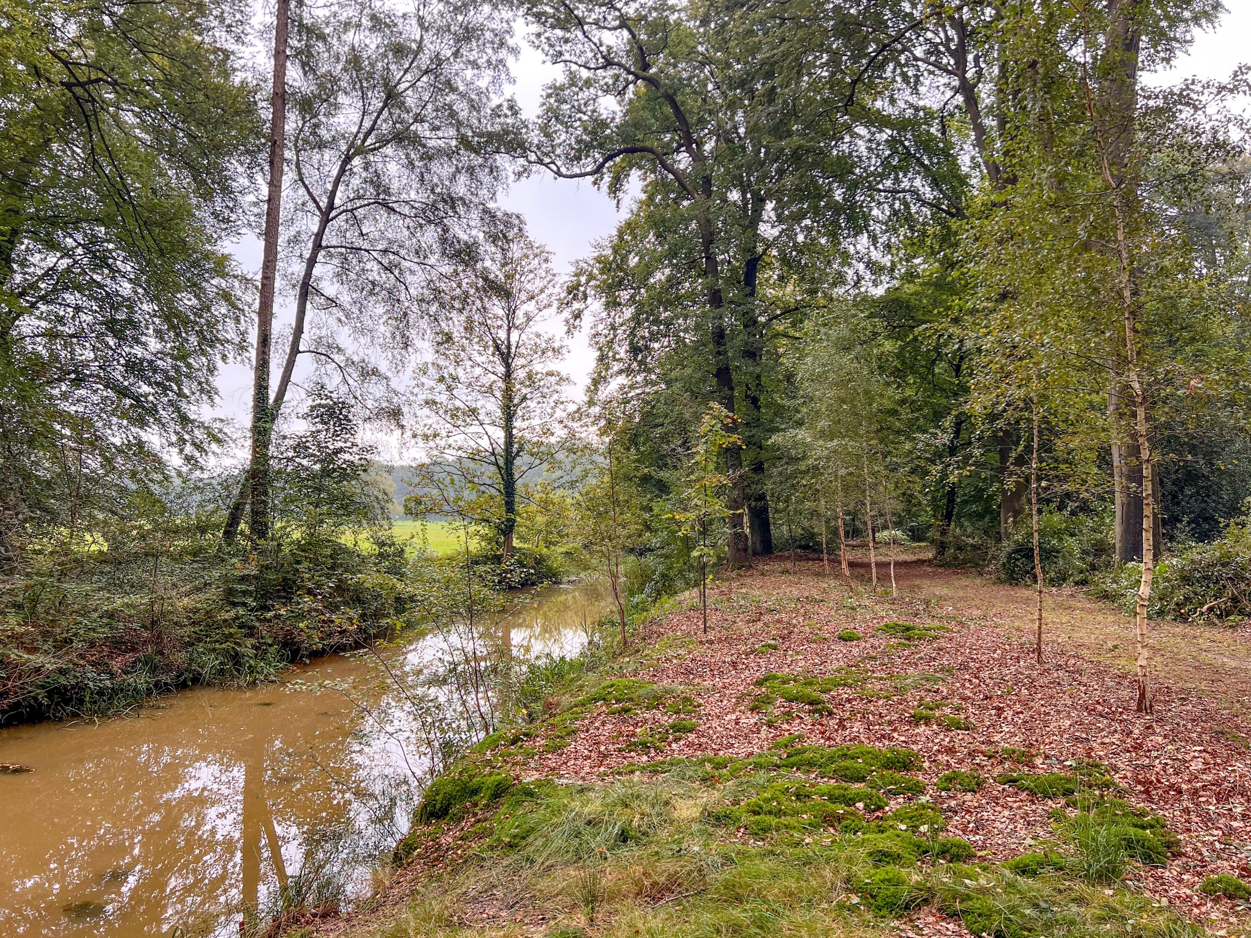 Herstellen zichtlijnen langs de Baakse Beek in de Meene