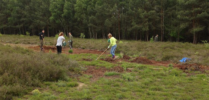 Aan de slag op de heide