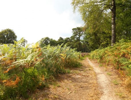 Onderhoud wandelpaden