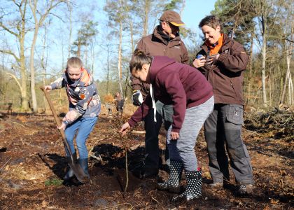 En dan is het eindelijk zover. Onder toeziend oog, en met een beetje assistentie van de boswachters en vrijwilligers van Staatsbosbeheer mogen de leerlingen boompjes planten. Het oog van de meester